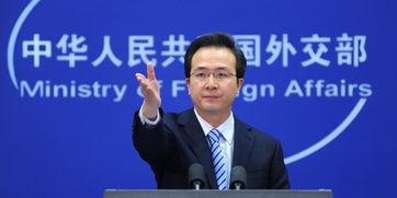 洪磊图片